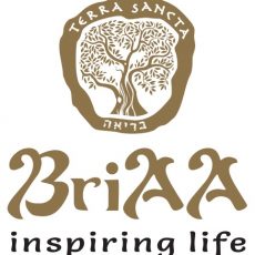 Logo-Briaa-gold-jpeg.jpg