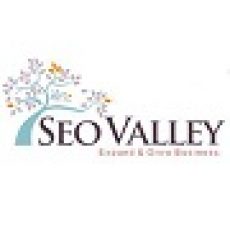 SEOValley90 Logo