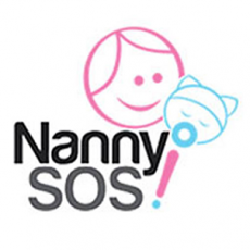 nannysos_knowledge_graph_logo.png