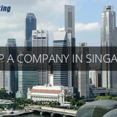 Setup_a_Company-_in_Singapore.jpg2_-500x286.jpg