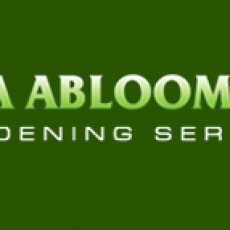 abloom-gardening-services.png