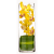 orchid2-200x200.png