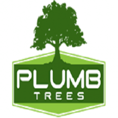 Plumb-Trees-logo-250.png