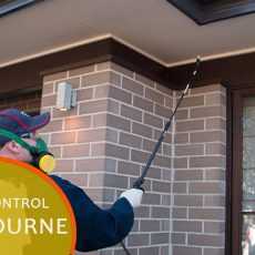 pest-control-melbourne-01.jpg